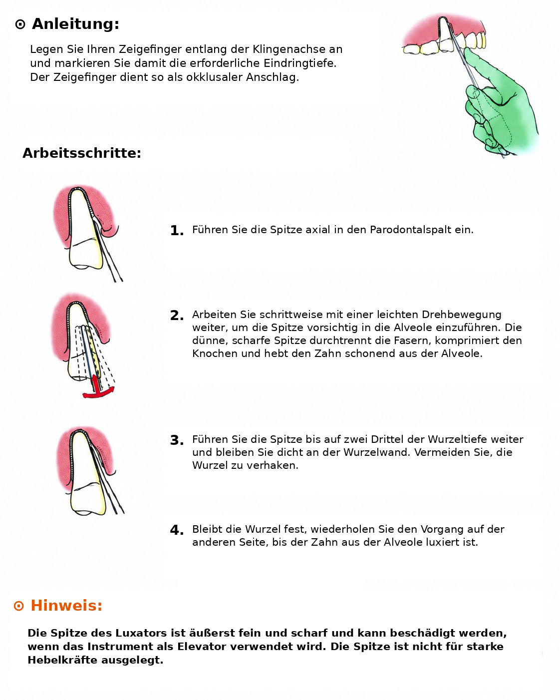 Dental Wurzelheber mit Metall-Handgriff